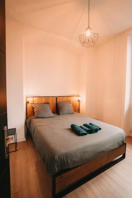 Ultimate Comfort ! Jacuzzi & Sauna. Apartment Besançon