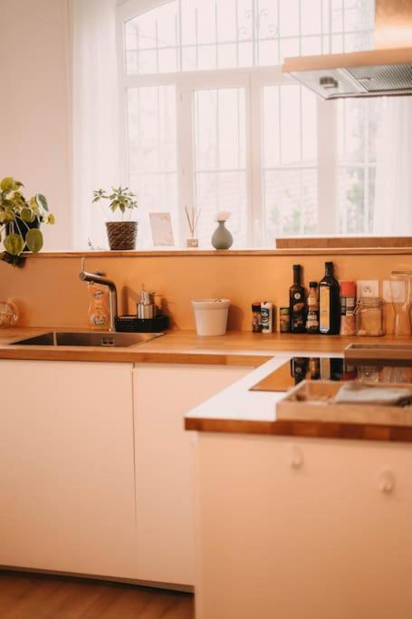Apartment Ultimate Comfort ! Jacuzzi & Sauna. Besancon